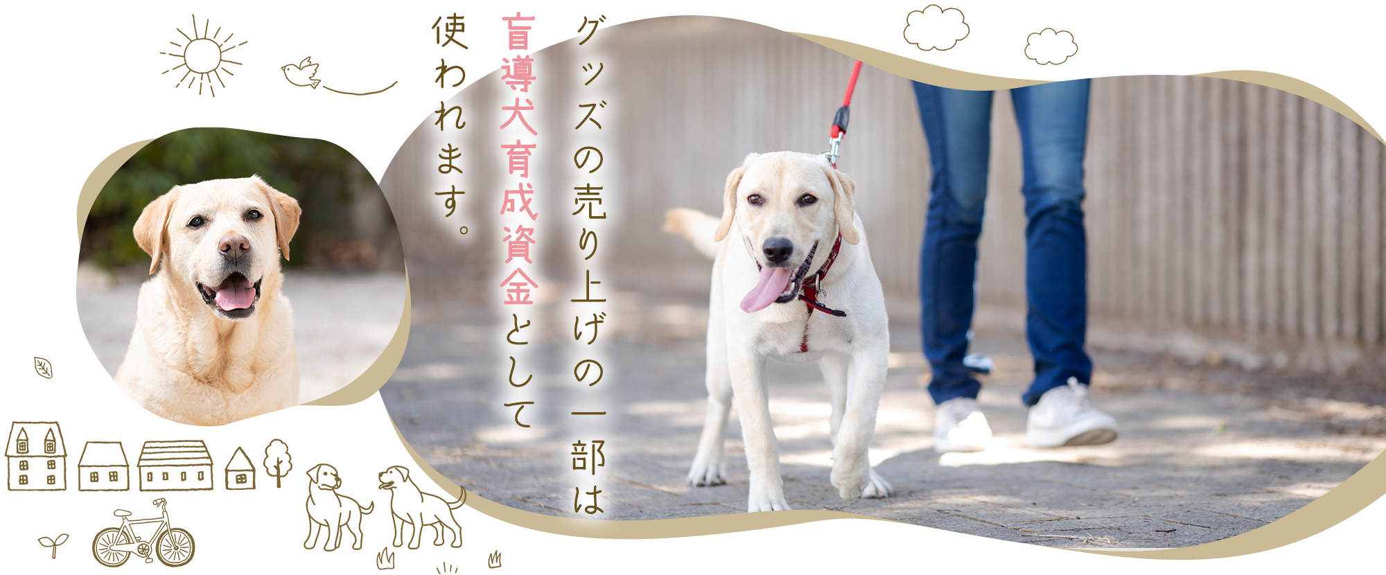 盲導犬サーブ支援センター