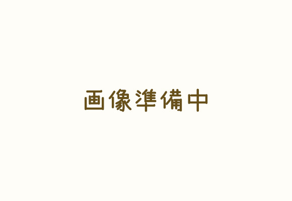 写真：盲導犬ボランティア物語