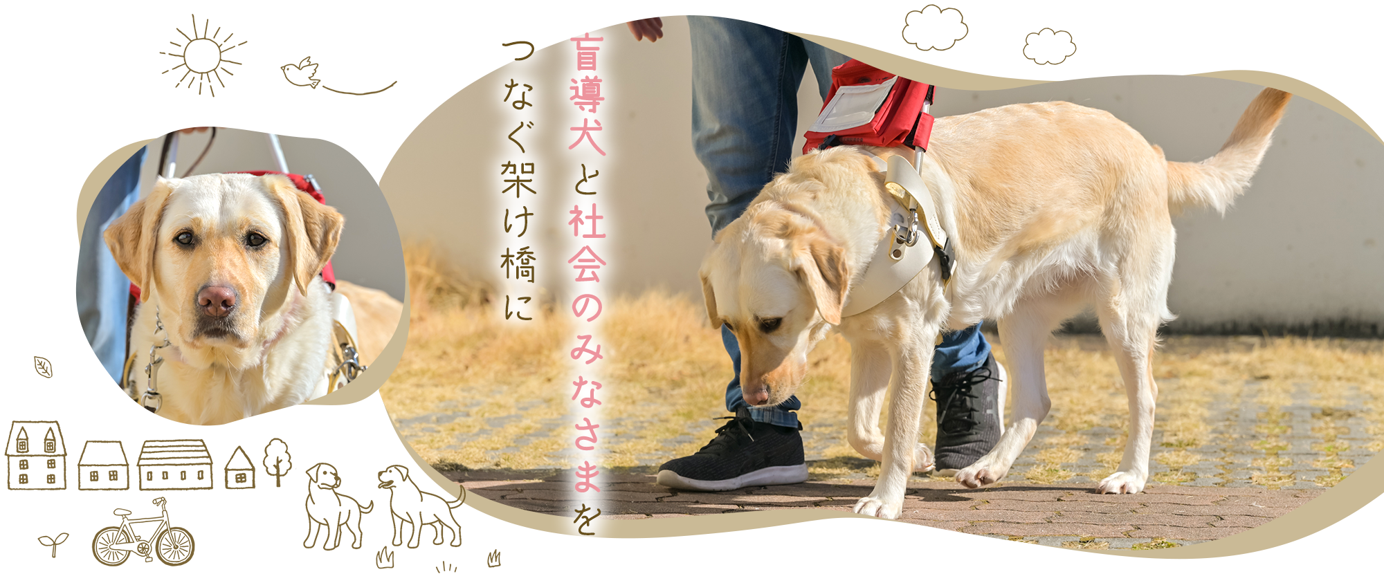 盲導犬と社会のみなさまをつなぐ架け橋に