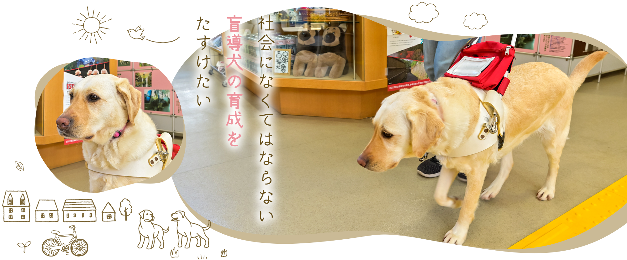 社会になくてはならない盲導犬の育成をたすけたい