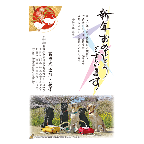 3002 写真提供東日本盲導犬協会