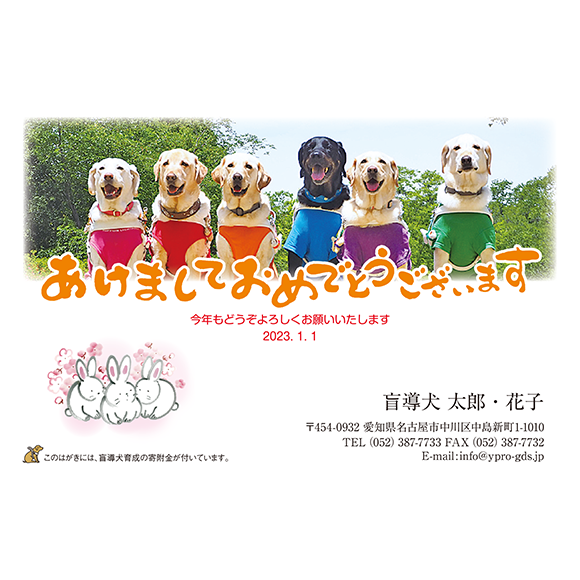 3006 写真提供日本ライトハウス盲導犬協会