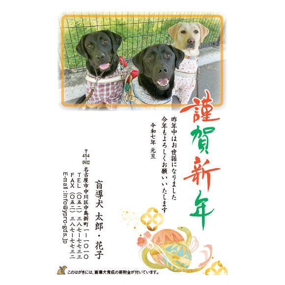 3002 写真提供東日本盲導犬協会