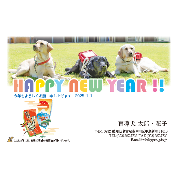 3005 写真提供関西盲導犬協会
