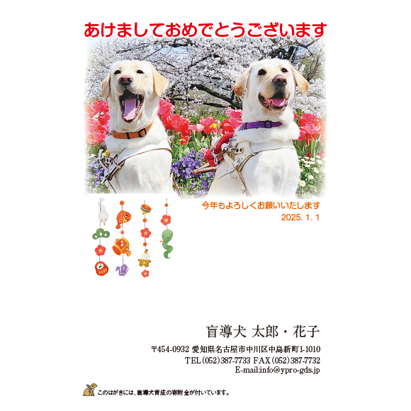 3004 写真提供中部盲導犬協会