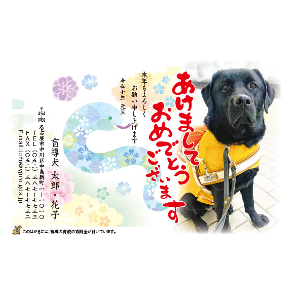 3007 写真提供兵庫盲導犬協会