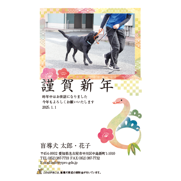 3008 写真提供九州盲導犬協会