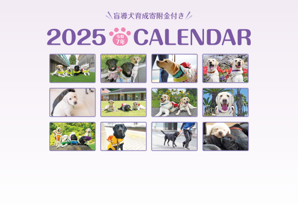 DC01壁掛けタイプ